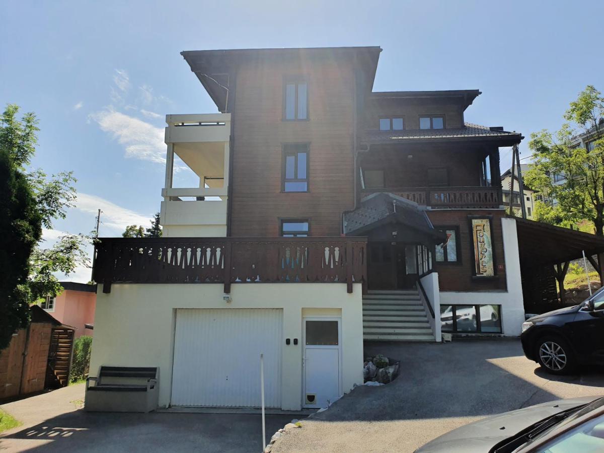 Nerine Apartment Leysin Ngoại thất bức ảnh